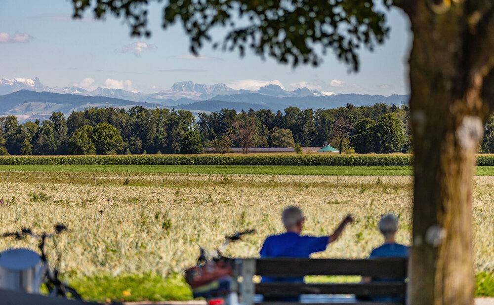 Kacheln Impressionen